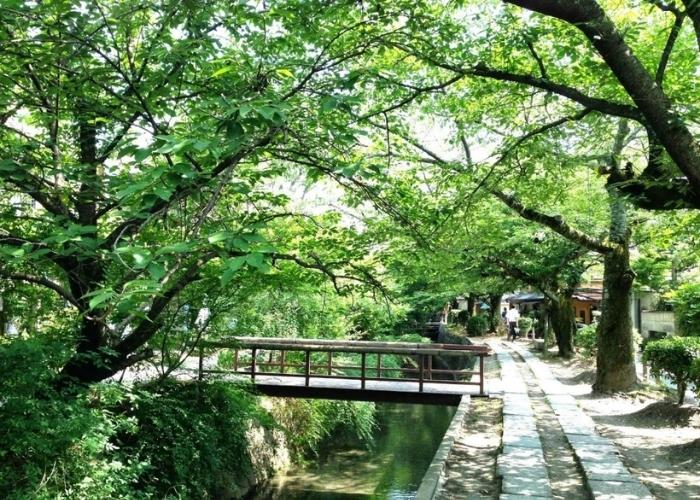 Du lịch Kyoto vào mùa hè