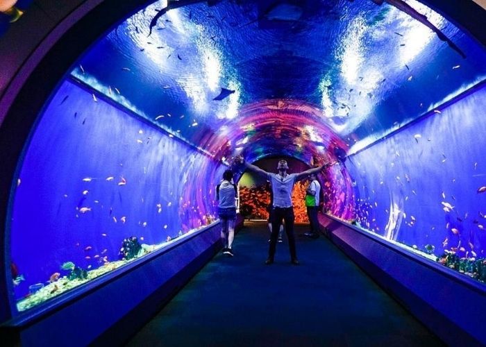 Aqua Gate tại thủy cung Kaiyukan Osaka