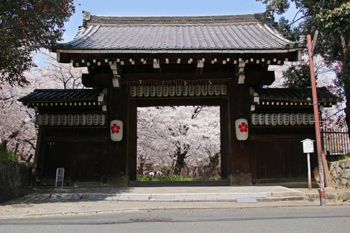 Du lịch Kyoto mùa xuân - Đền Hirano
