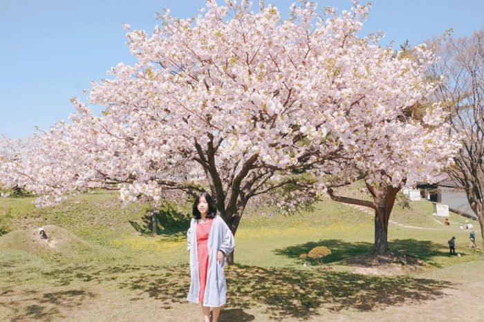 kinh nghiệm du lịch Tokyo