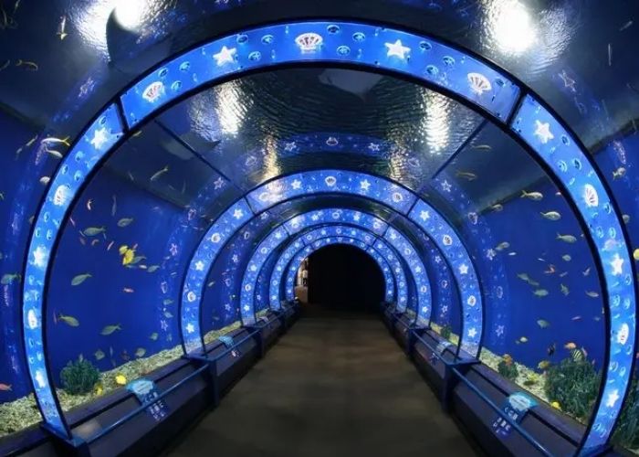 Thủy cung Kaiyukan Osaka