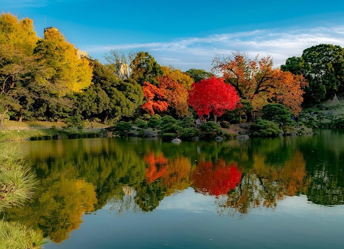 Vườn Kiyosumi Teien một trong những địa điểm ngắm lá đỏ ở Tokyo nổi tiếng. Nguồn: shimboya