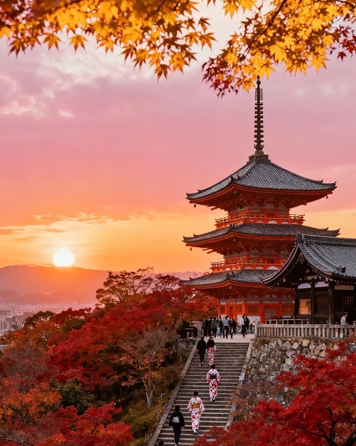 Cẩm nang khi du lịch ngắm lá đỏ ở Tokyo. Nguồn: ditourmy