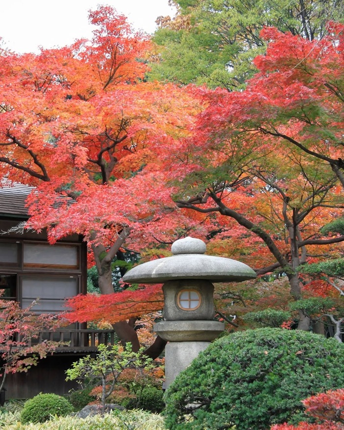 Khu vườn ngắm lá đỏ lâu đời nhất ở Tokyo - Koishikawa Korakuen. Nguồn: kanpai.fr