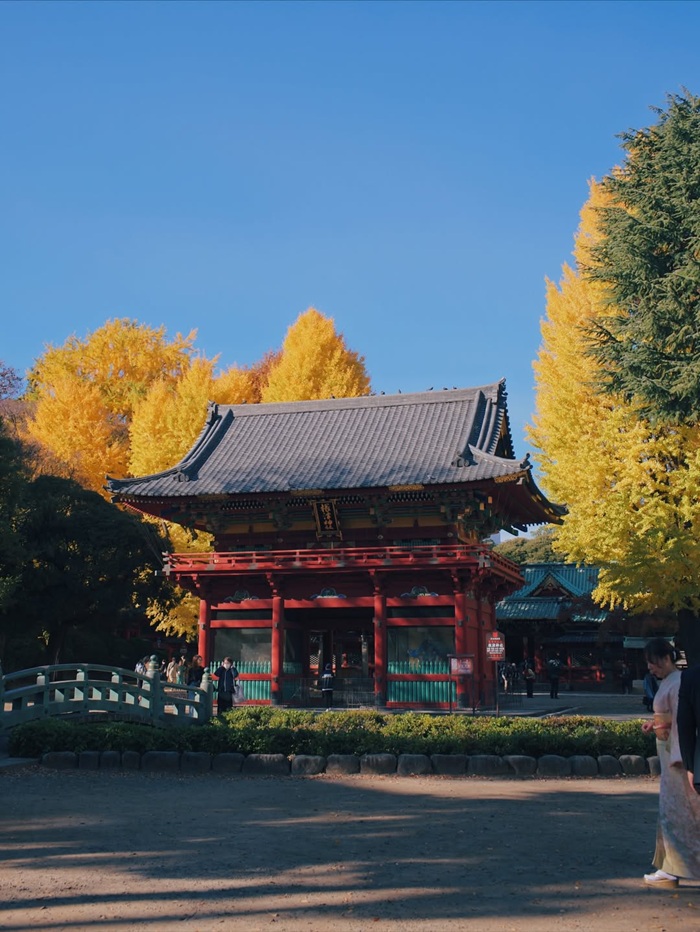 Địa điểm ngắm lá đỏ ở Tokyo - Vườn bảo tàng Nezu. Nguồn: tackey_t