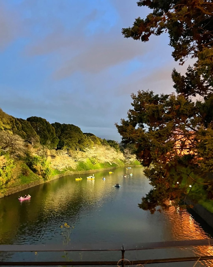 Hào Chidorigafuchi địa điểm ngắm lá đỏ ở Tokyo cực kỳ lãng mạn và yên bình. Nguồn: tokyounscripted