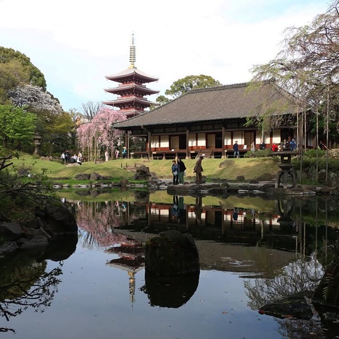 Không gian yên bình mang đậm phong cách tản bộ Nhật Bản. Nguồn: melhoresdestinos_guia