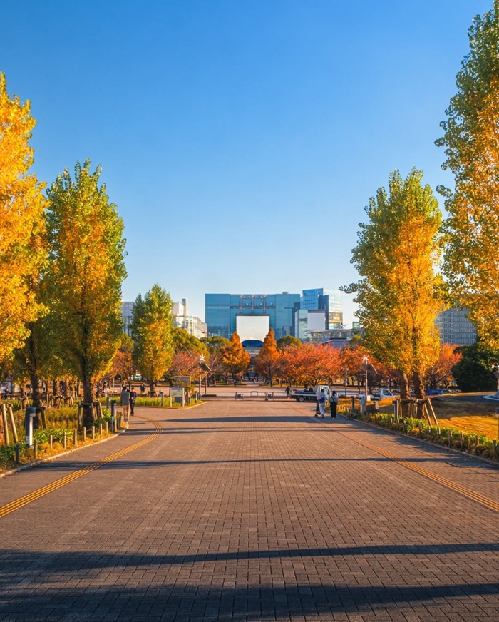 Thời điểm lý tưởng nhất để du lịch đảo Odaiba. Nguồn: arishaintokyo