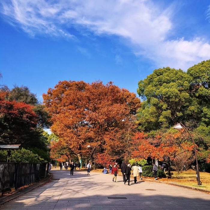 Khám phá công viên Ueno và phố Akihabara bằng hệ thống tàu điện ngầm tại Tokyo. Nguồn: performance_trip