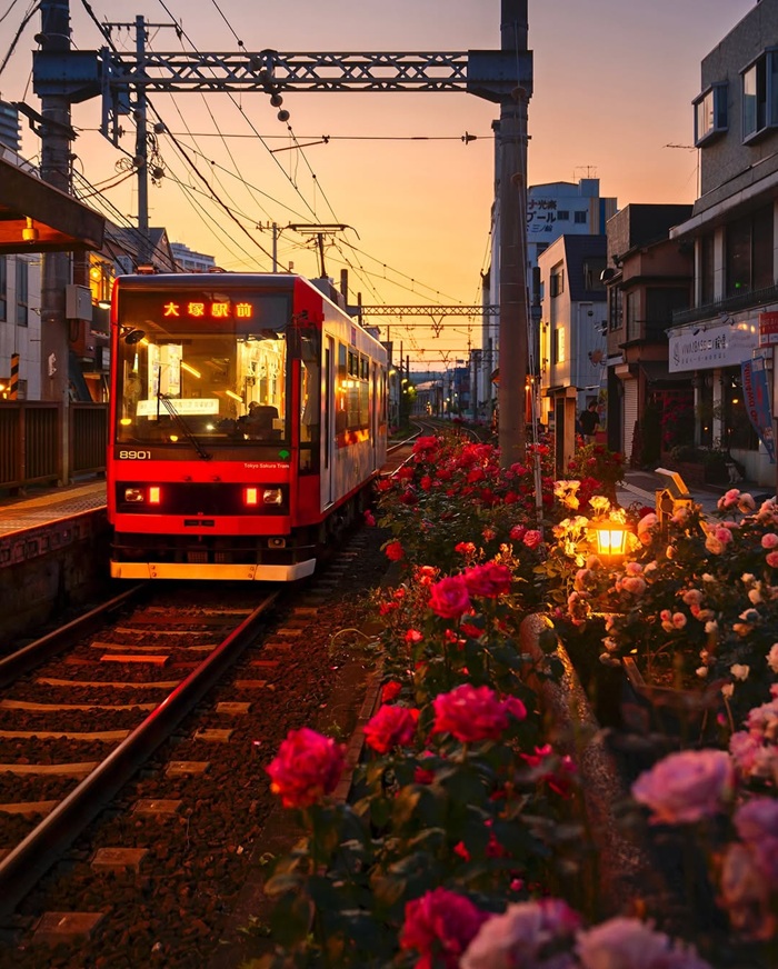 Tận hưởng từng khoảnh khắc đáng nhớ trong hành trình dài ngày. Nguồn: miyazaki_japan