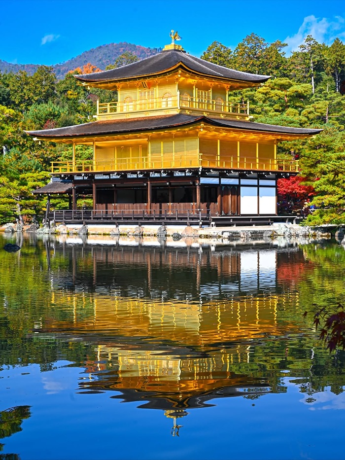 Toàn cảnh ngôi chùa vàng Kinkakuji soi bóng bên mặt hồ. Nguồn: toanluu_jp