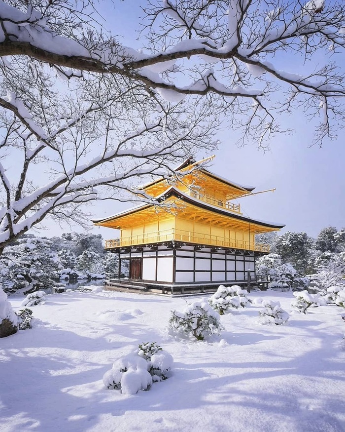 Cảnh sắc tuyết trắng phủ lên mái chùa vàng lộng lẫy. Nguồn: japanawaits