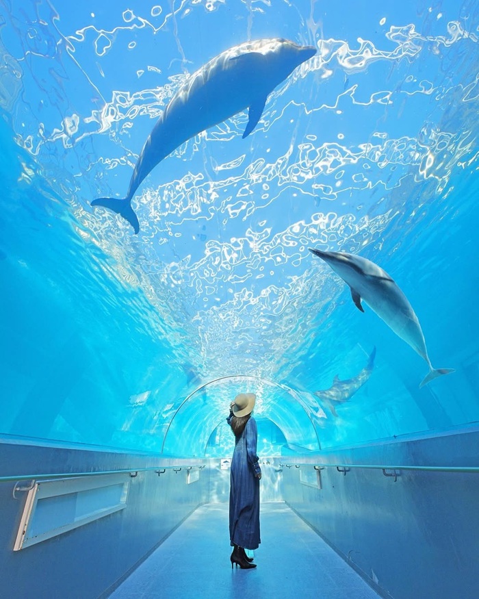 Check-in đường hầm dưới nước trong suốt cực kỳ ấn tượng. Nguồn: goopass