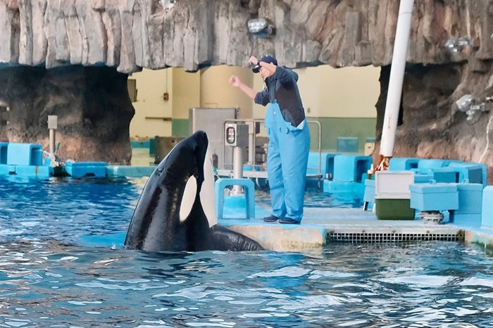 Tham gia hoạt động tương tác thú vị tại thủy cung. Nguồn: re_pon_miri