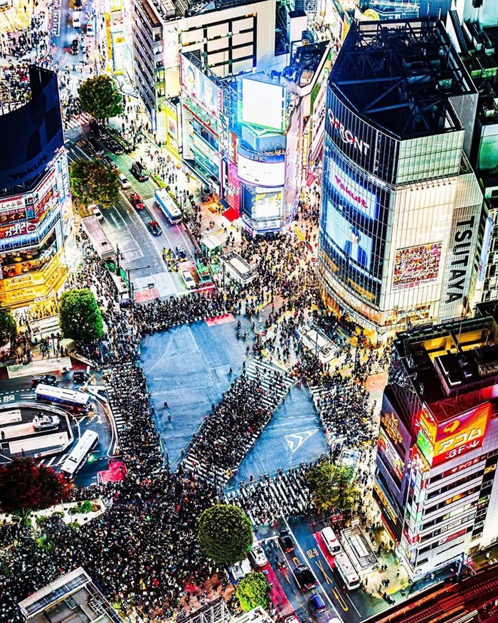 Văn hóa nhường đường cho người đi bộ tại vạch kẻ của người Nhật Bản. Nguồn: edo_japan_travel