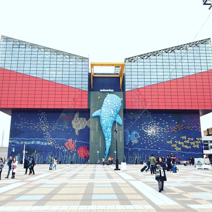 Khám phá thế giới đại dương bao la tại thủy cung Kaiyukan biểu tượng của Osaka. Nguồn: japandigest