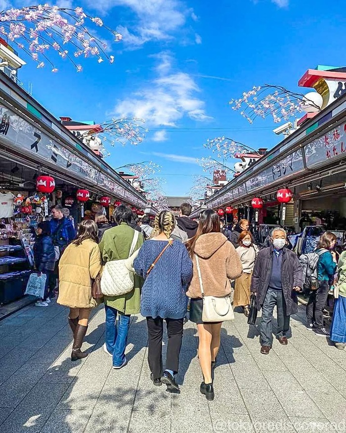 Sắc hoa anh đào rực rỡ tại các khu phố cổ của Tokyo. Nguồn: tokyorediscovered