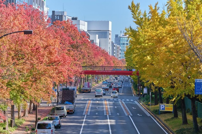 Background sắc vàng đỏ rực rỡ làm say lòng du khách khi đến Nagoya vào mùa thu. Nguồn: timovervliet và ellen_leppers