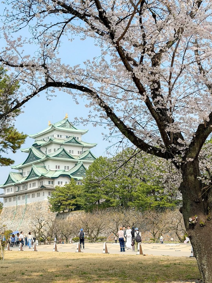 Phối đồ chuẩn gu để sở hữu bộ ảnh kỷ niệm Nagoya hoàn hảo. Nguồn: piarufino