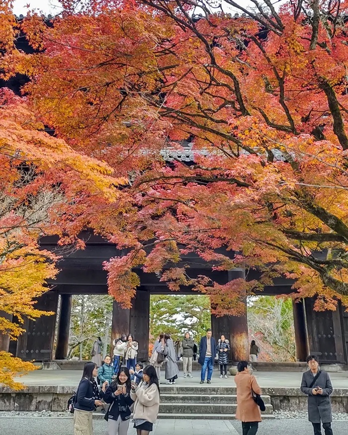 Cổng Sanmon chùa Nanzenji địa điểm check in Kyoto mùa lá đỏ nổi tiếng. Nguồn: gegege3901