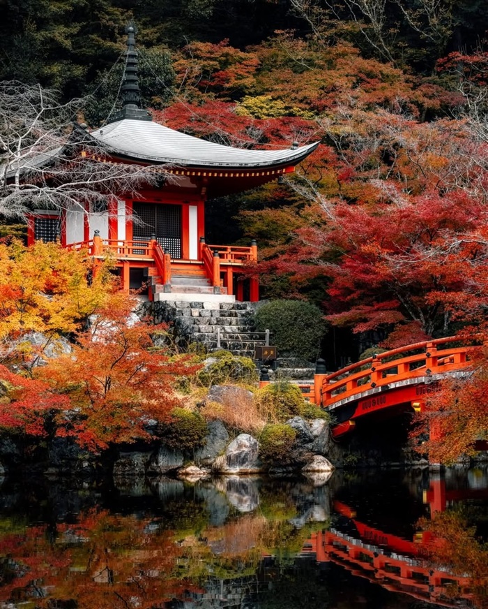 Tận hưởng Kyoto mùa lá đỏ với cảnh sắc rực rỡ và yên bình tại chùa Tenryu-ji. Nguồn: dr.cinematic