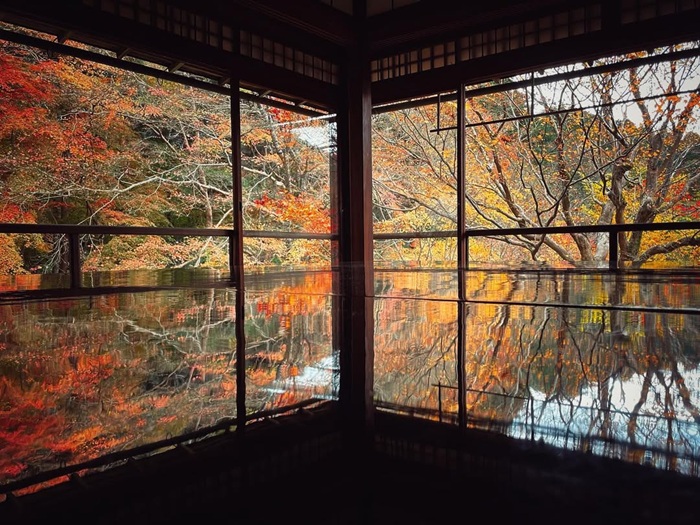 Khung cảnh Kyoto mùa lá đỏ thu trọn trong chiếc bàn đen bóng loáng tại chùa Rurikoin. Nguồn: ritadesertrose