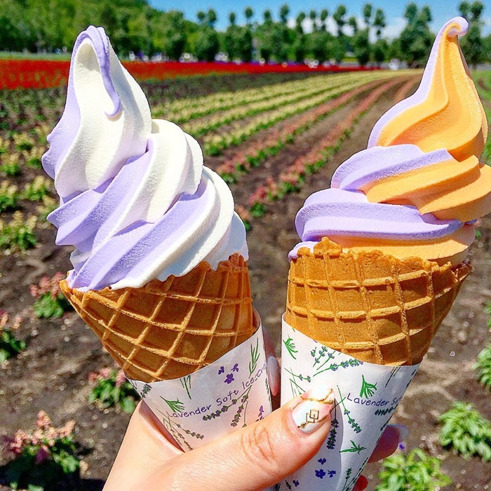 Thưởng thức kem oải hương Lavender Soft Cream mát lạnh tại Farm Tomita. Nguồn: sg_epk_011