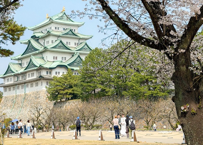 Du lịch Nagoya 1 ngày: Nên đi đâu và ăn gì để tiết kiệm?. Nguồn: olaf.o3