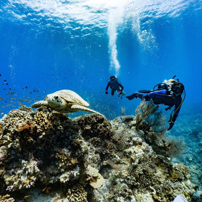Khí hậu ấm áp quanh năm - Okinawa phù hợp cho các hoạt động du lịch biển. Nguồn: ginajp_official