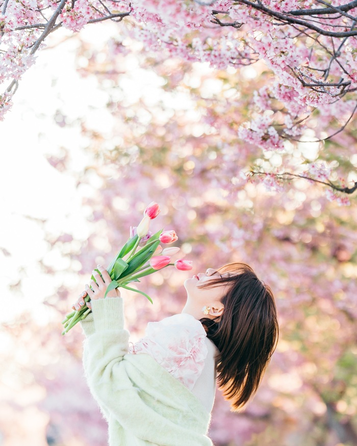 Ngắm nhìn hoa anh đào nở rực rỡ vào mùa xuân tại Tokyo Nhật Bản. Nguồn: yuu_photo2510
