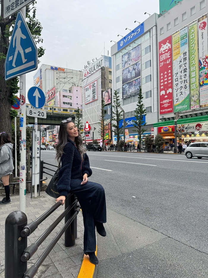 Akihabara trung tâm văn hóa về anime, manga và game nổi tiếng. Nguồn: piepie64