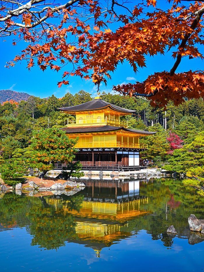 Sự hòa quyện hoàn hảo giữa kiến trúc Kinkaku-ji và thiên nhiên. Nguồn: toanluu_jp