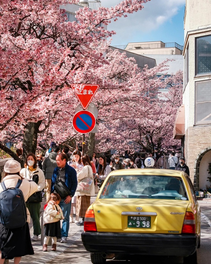 Cài đặt các công cụ hỗ trợ giao tiếp - đi lại trên điện thoại trước khi du lịch Kyoto tự túc. Nguồn: lim.karhong