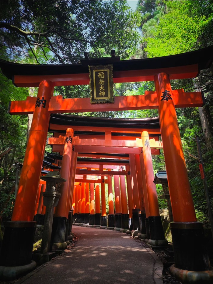 Khám phá hàng nghìn cổng Torii đỏ rực tại Fushimi Inari. Nguồn: fiona_lees