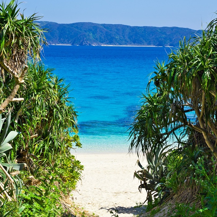 Tận hưởng khung cảnh thiên nhiên hoang sơ tuyệt đẹp đảo Kerama. Nguồn: visitokinawajapan