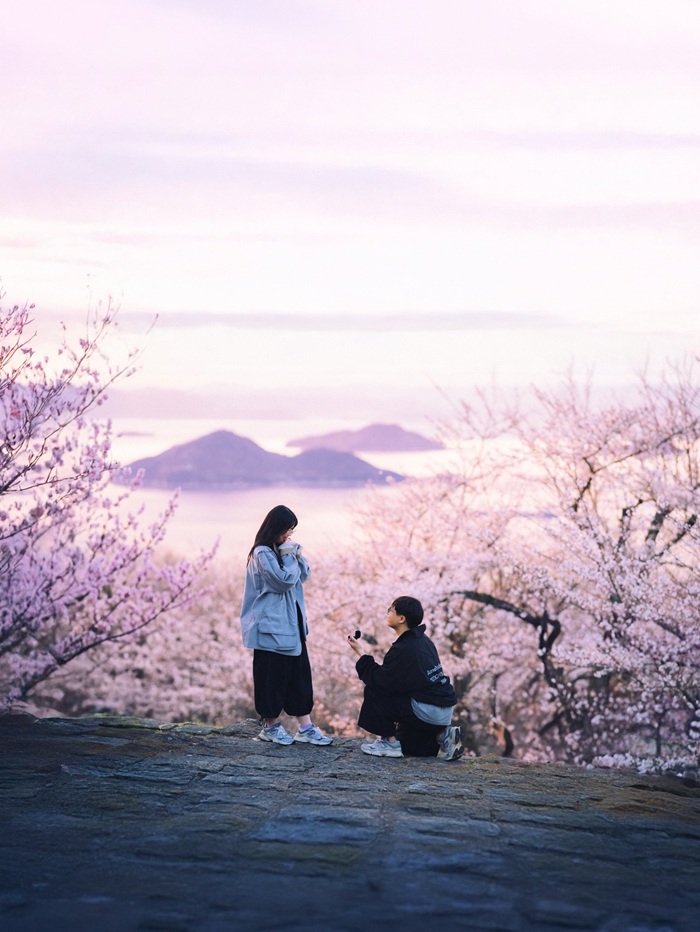 Hoa anh đào tại Hokkaido thường bắt đầu từ giữa hoặc cuối tháng 4. Nguồn: masa.lovegraph