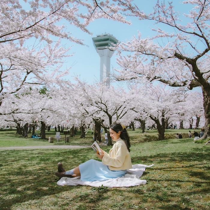 Công viên Goryokaku - Nơi ngắm nhìn Hokkaido mùa hoa anh đào nổi tiếng. Nguồn: mood.mod.wut