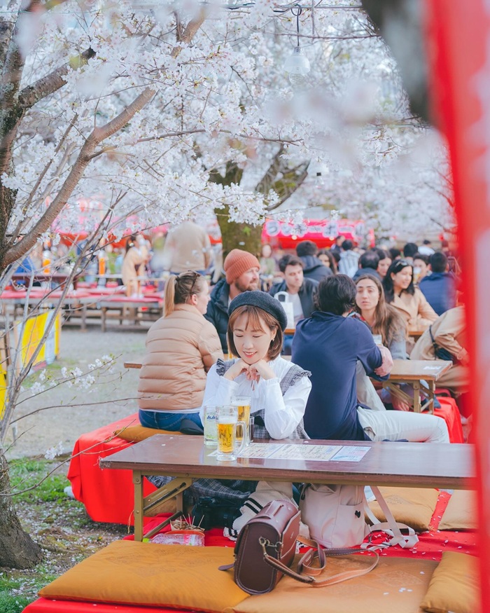 Trải nghiệm các hoạt động ngắm hoa anh đào của người Nhật tại Maruyama Park. Nguồn: jeje.atelier