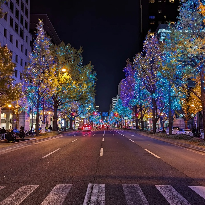 Dạo bước dưới hàng cây ánh sáng tại lễ hội Midosuji Illumination. Nguồn: mr.hidekun
