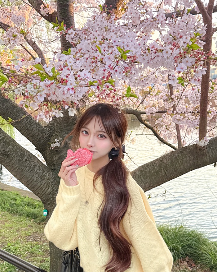 Khung cảnh hoa anh đào nở rộ rực rỡ công viên Ueno. Nguồn: aya.you.love.r