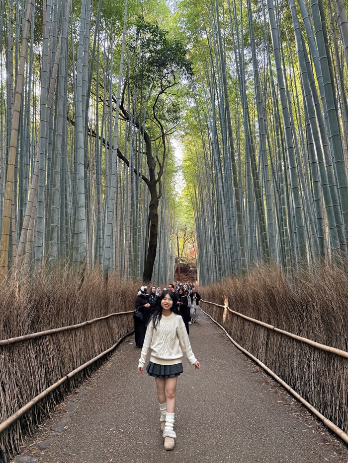 Khung cảnh thiên nhiên rợp bóng mát tại rừng tre Arashiyama Kyoto. Nguồn: ngan__tuyet