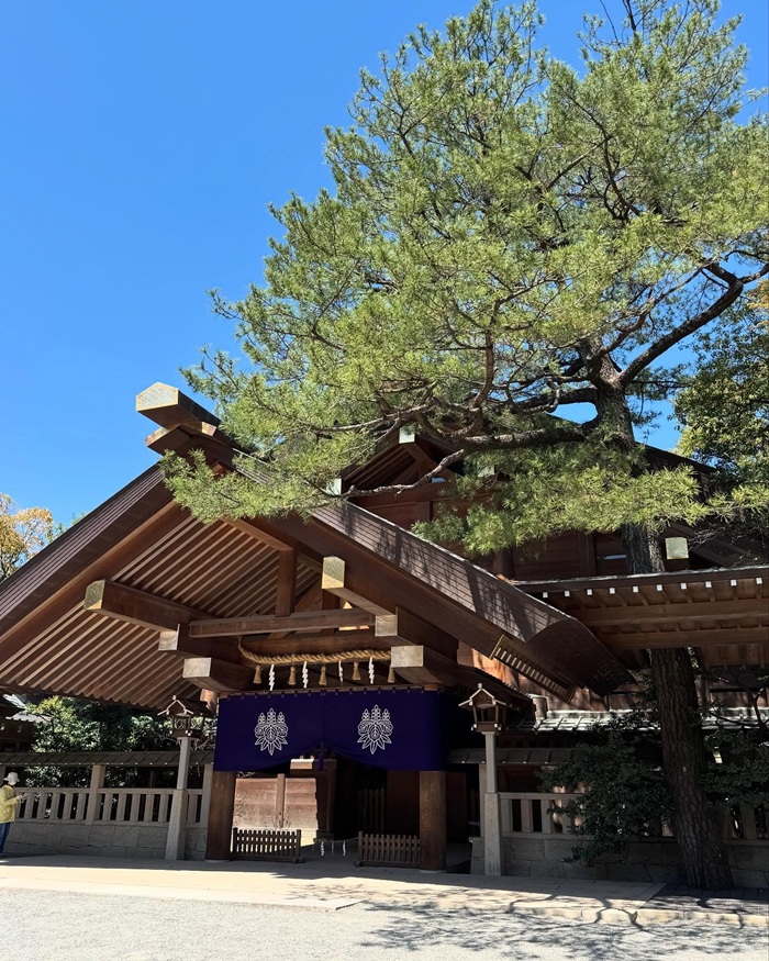 Cảm nhận không gian thanh tịnh tại đền Thần đạo Atsuta Jingu Nagoya. Nguồn: charlie_jojo