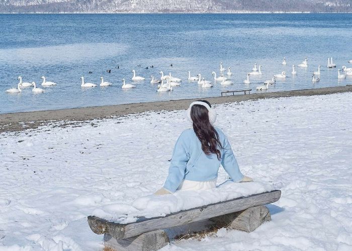 Du lịch bụi Hokkaido tận hưởng sức hút vùng đất phương Bắc xứ sở Mặt Trời Mọc